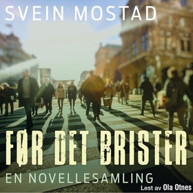 Før det brister - noveller (lydbok) av Svein Mostad