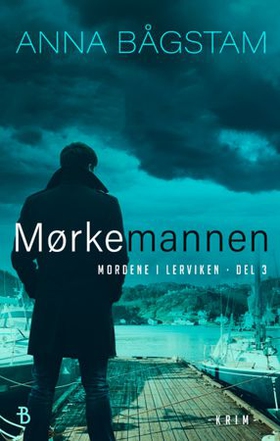 Mørkemannen (ebok) av Anna Bågstam