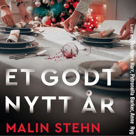 Et godt nytt år - spenningsroman (lydbok) av Malin Stehn
