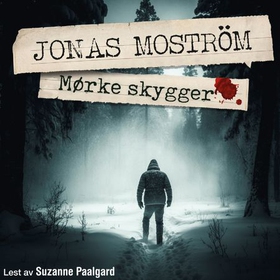 Mørke skygger (lydbok) av Jonas Moström