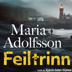 Feiltrinn