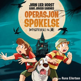 Operasjon Spøkelse (lydbok) av Jørn Lier Horst