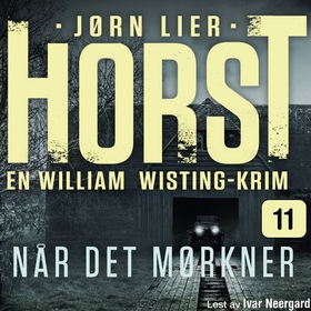 Når det mørkner - kriminalroman (lydbok) av Jørn Lier Horst