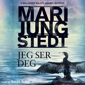 Jeg ser deg (lydbok) av Mari Jungstedt