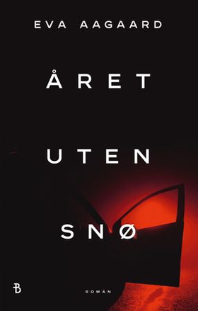 Året uten snø (ebok) av Eva Aagaard