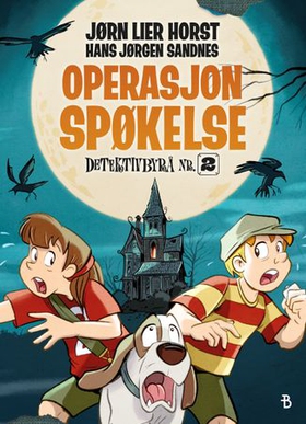 Operasjon Spøkelse (ebok) av Jørn Lier Horst