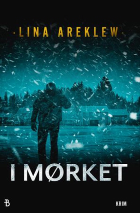 I mørket (ebok) av Lina Areklew