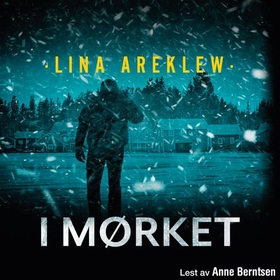 I mørket (lydbok) av Lina Areklew