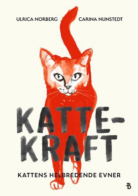 Kattekraft