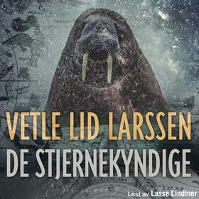De stjernekyndige - roman (lydbok) av Vetle Lid Larssen