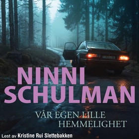 Vår egen lille hemmelighet (lydbok) av Ninni Schulman