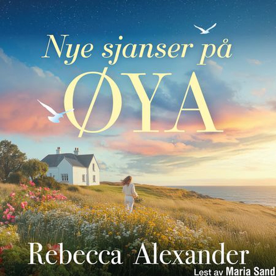 Nye sjanser på øya