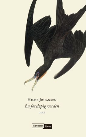 En foreløpig verden (ebok) av Hilde Johansen