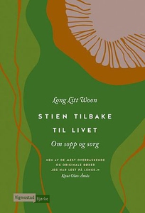 Stien tilbake til livet (ebok) av Litt Woon L