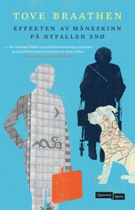 Effekten av måneskinn på nyfallen snø (ebok)