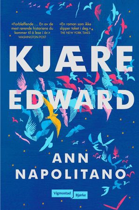 Kjære Edward (ebok) av Ann Napolitano