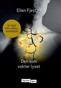 Den som vokter lyset (ebok) av Ellen Fjestad