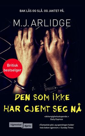 Den som ikke har gjemt seg nå (ebok) av M.J A