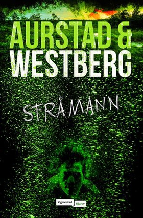 Stråmann - en Robert Vinter-roman (ebok) av Tore Aurstad