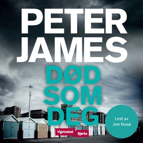 Død som deg (lydbok) av Peter James