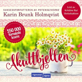 Akuttbjellen (lydbok) av Karin Brunk Holmqvist
