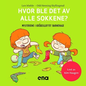 Hvor ble det av alle sokkene? (lydbok) av Lar