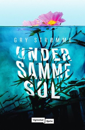 Under samme sol - roman (ebok) av Gry Strømme
