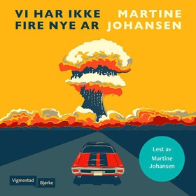 Vi har ikke fire nye år (lydbok) av Martine Johansen