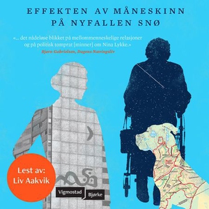 Effekten av måneskinn på nyfallen snø (lydbok