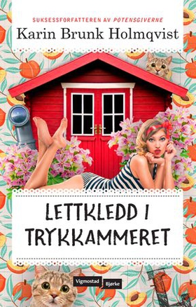 Lettkledd i Trykkammeret (ebok) av Karin Brunk Holmqvist