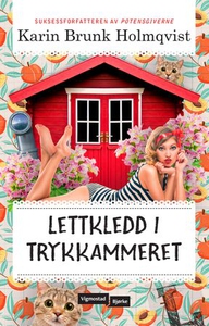 Lettkledd i Trykkammeret (ebok) av Karin Brun