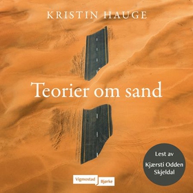 Teorier om sand (lydbok) av Kristin Hauge
