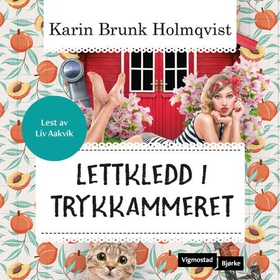 Lettkledd i Trykkammeret (lydbok) av Karin Brunk Holmqvist