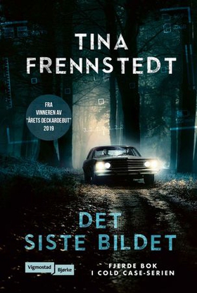 Det siste bildet (ebok) av Tina Frennstedt