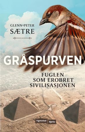 Gråspurven