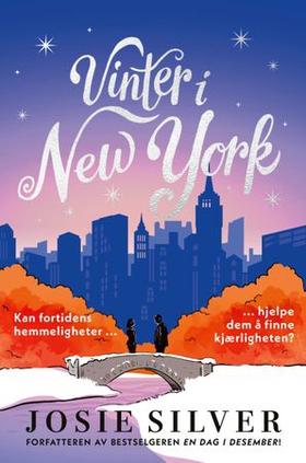 Vinter i New York (ebok) av Josie Silver