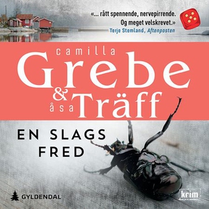 En slags fred (lydbok) av Camilla Grebe, Åsa