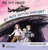 Den tredje grottens hemmelighet