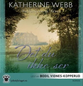 Det du ikke ser (lydbok) av Katherine Webb