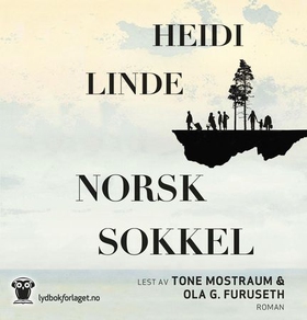 Norsk sokkel (lydbok) av Heidi Linde