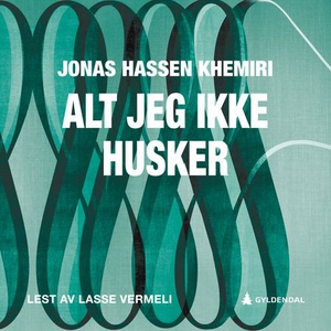 Alt jeg ikke husker (lydbok) av Jonas Hassen