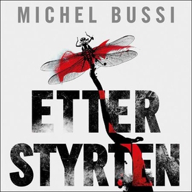 Etter styrten (lydbok) av Michel Bussi