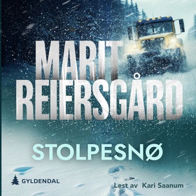 Stolpesnø (lydbok) av Marit Reiersgård