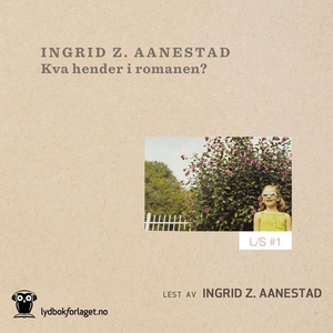 Kva hender i romanen? (lydbok) av Ingrid Z. A