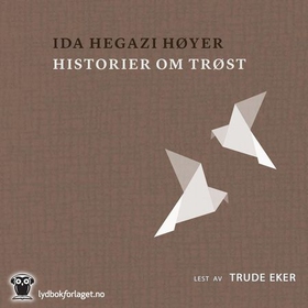 Historier om trøst (lydbok) av Høyer Ida Hegazi
