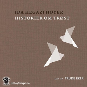 Historier om trøst (lydbok) av Høyer Ida Hega