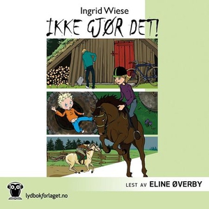 Ikke gjør det! (lydbok) av Ingrid Wiese