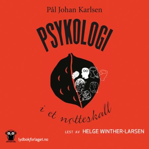 Psykologi i et nøtteskall (lydbok) av Pål Joh