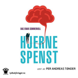Hjernespenst (lydbok) av Dag Einar Sommervoll