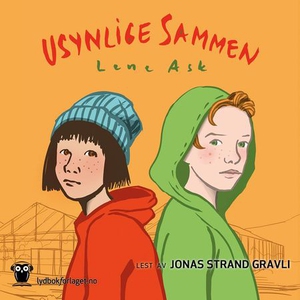 Usynlige sammen (lydbok) av Lene Ask